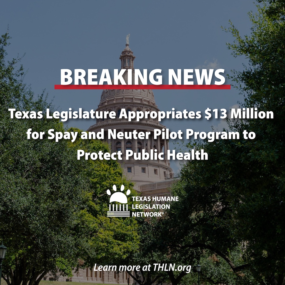 Texas Humane Legislation Network (THLN) tweet media