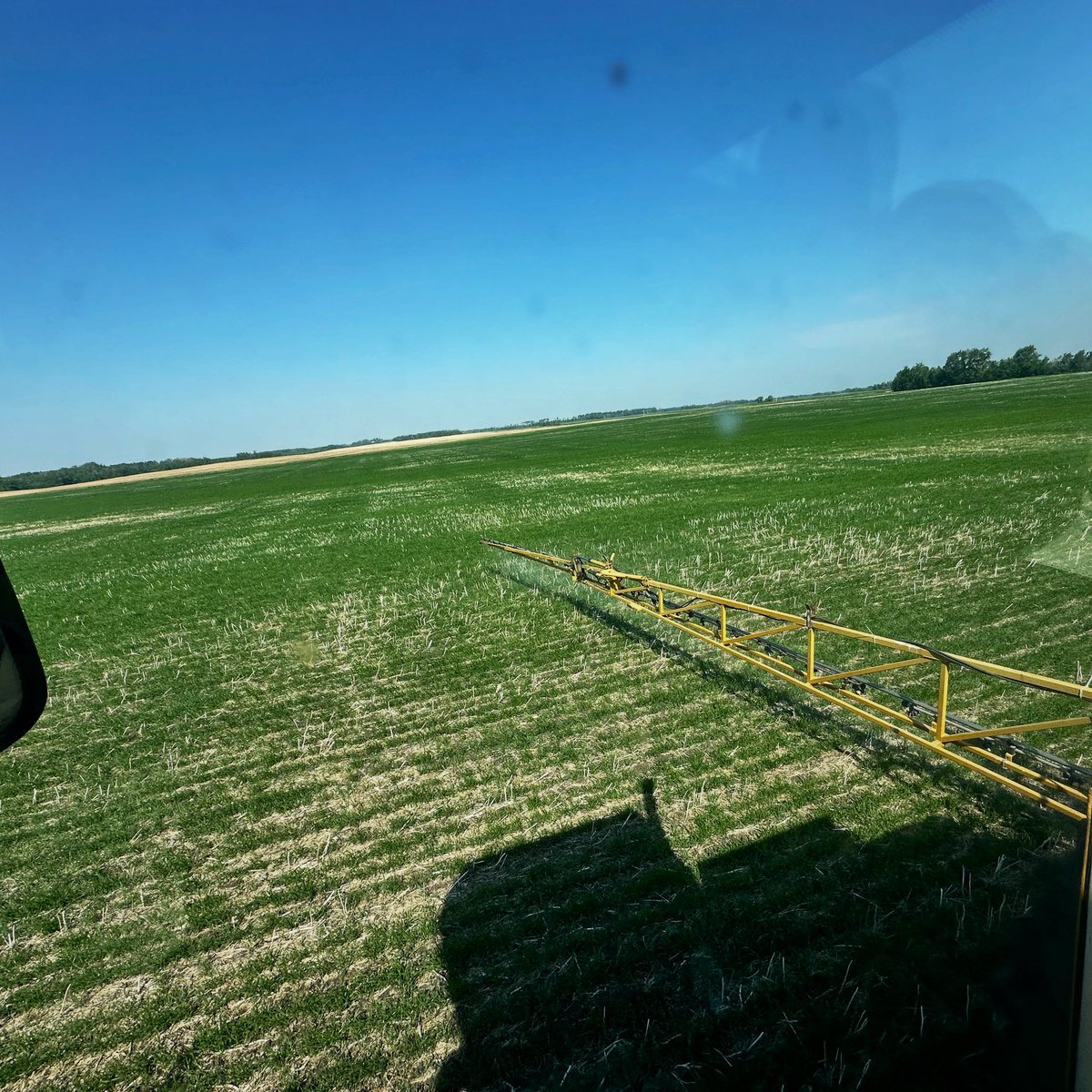 adamstuart1's tweet image. In crop spraying time! Let’s go get it. #wheat #herbicide #wildoats #cleavers #spray #farming #westcdnag
