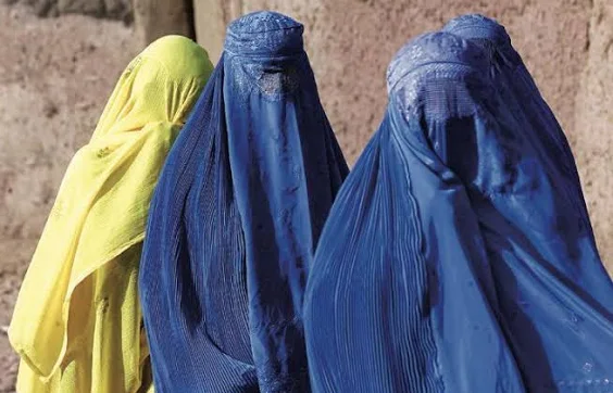 Christopher tweet media