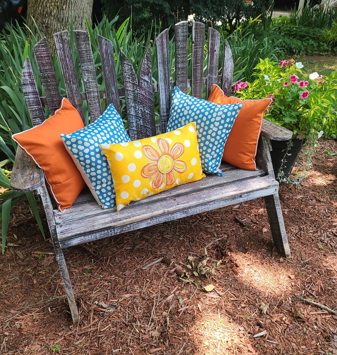 RescueWats's tweet image. We so proud our momma!  She passed her big test for her job at the hopsickle!  Yay mom!  #dogsofX #FamMed #FMRevolution