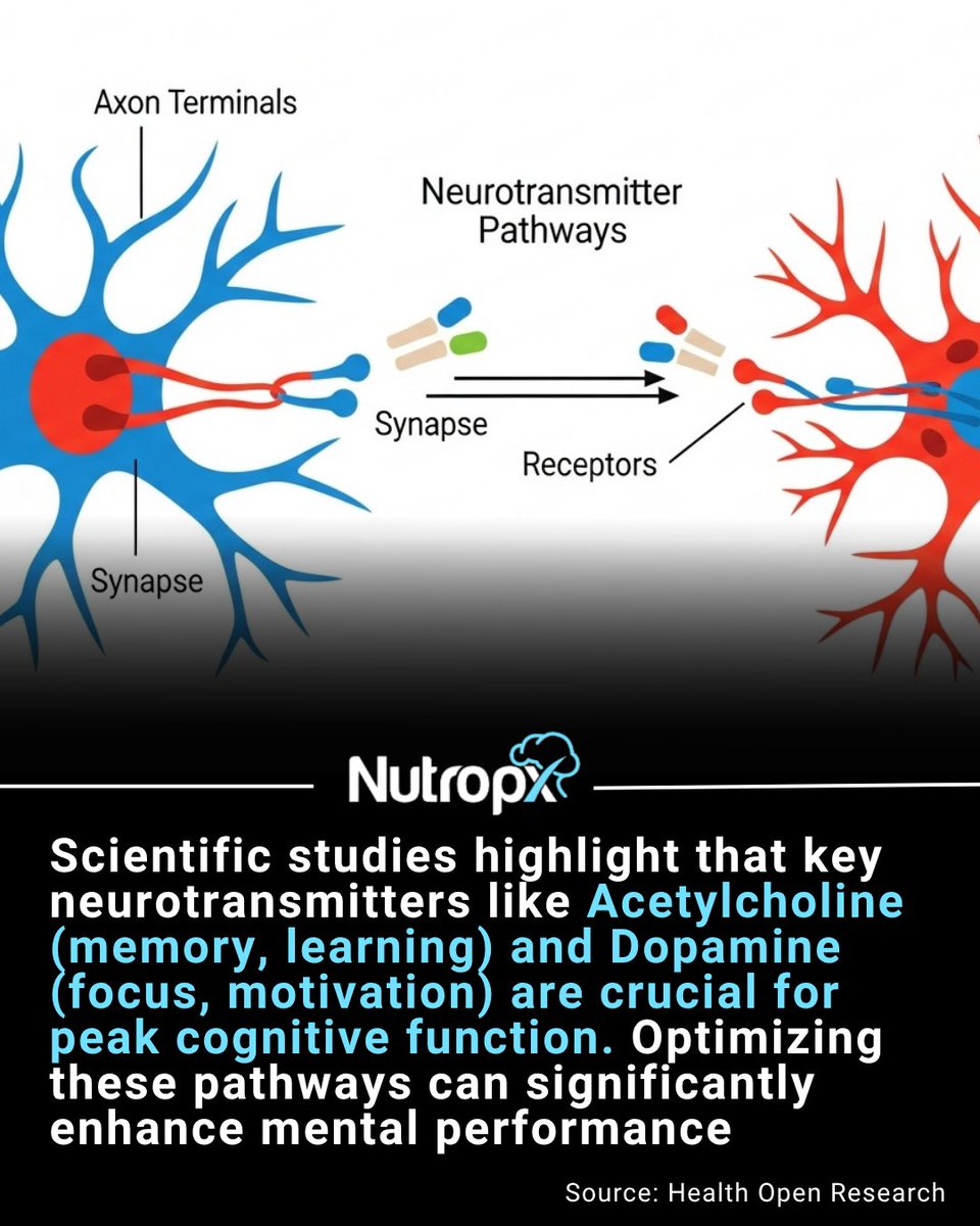 nutropx's tweet image. Your brain cells 'talk' through neurotransmitters. When these chemical messengers are balanced, your cognitive abilities soar! An imbalance can lead to brain fog and lack of focus. #Nutropx #5brain #2Brain #Power