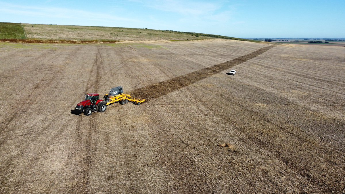 RubiscoAgro's tweet photo. Ciclos largos 🌾 a la cancha!
Y obvio que si son trigos, van con TopSeed! 👀 Conocé más de este excelente tratamiento de semillas en https://t.co/fpX2gDstxy #rubisco #topseed #spraytec https://t.co/xAU07jPWMR
