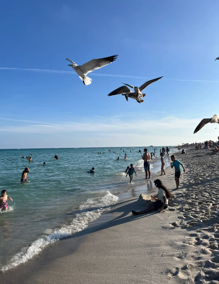 gn27255255's tweet photo. Sometim, feel how happy freedom is. 
#Florida #Maimi 
#beach https://t.co/y0BzlPdJ8g
