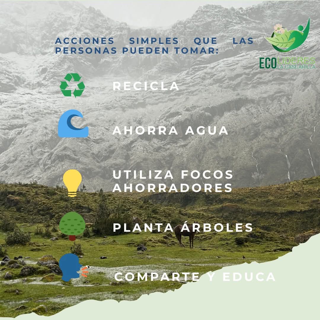 Fundación Ecolíderes “La Cascarilla” tweet media