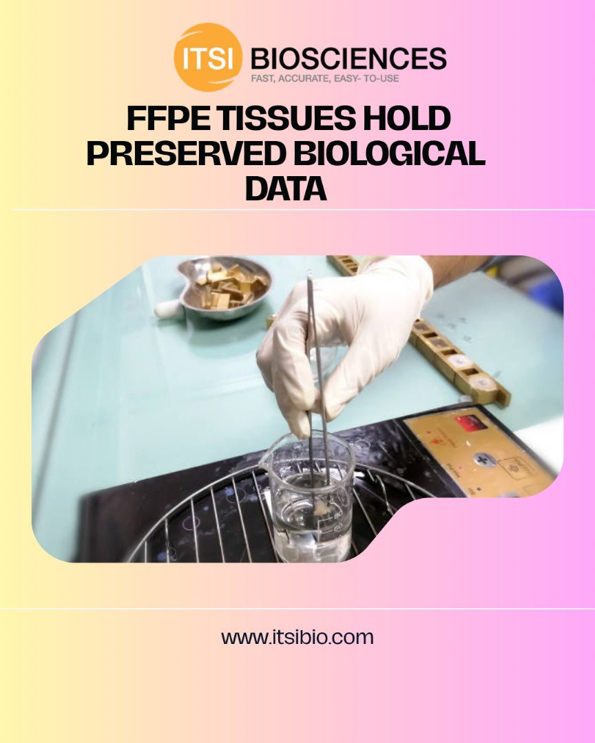 itsibio's tweet image. Start mining insights from your archives.
#FFPE #Proteomics #BiotechTools #ProteinExtraction #LifeSciences