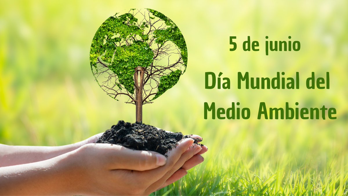 España ONU Viena (@misionvienaoi) on Twitter photo 🌍 Este 5 de junio, en el #DíaDelMedioAmbiente, recordamos que proteger la naturaleza es proteger nuestro futuro. Cada acción cuenta: reduce, reutiliza, recicla y respeta.
<a href="/UN/">United Nations</a> <a href="/ONU_es/">Naciones Unidas</a> #MedioAmbiente #WorldEnvironmentDay #Environment 🌍 Este 5 de junio, en el #DíaDelMedioAmbiente, recordamos que proteger la naturaleza es proteger nuestro futuro. Cada acción cuenta: reduce, reutiliza, recicla y respeta.
<a href="/UN/">United Nations</a> <a href="/ONU_es/">Naciones Unidas</a> #MedioAmbiente #WorldEnvironmentDay #Environment