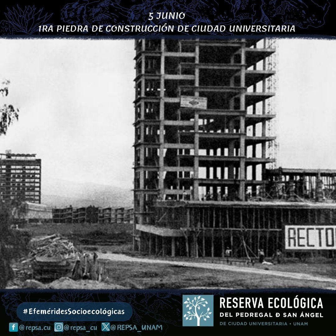 #EfeméridesSocioecológicas
5 de junio 
75 años de la 1ra piedra de construcción de Ciudad Universitaria🪨⛏

Video ▶️ Construcción de Ciudad Universitaria youtu.be/Eb6liGnz__M

Consulta más👉🏼: bit.ly/3vSVhUL