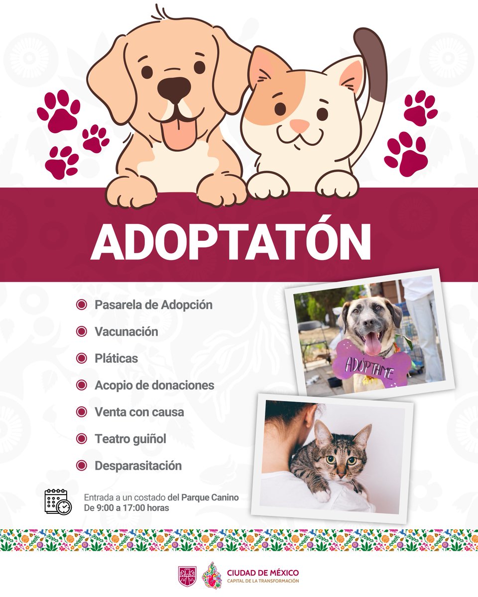 Este sábado será el #Adoptatón, te invitamos a participar. Tal vez encontrarás al nuevo miembro de tu familia que está listo para darte todo el amor incondicional que mereces.

La cita será en el #BosqueDeAragón a partir de las 9:00 horas.

#CapitalDeLaTransformación