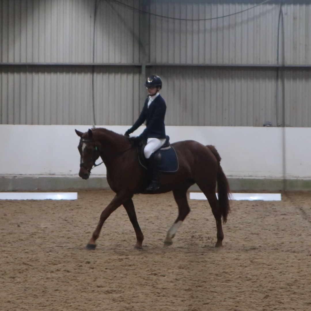 As we round out the academic year for our Level 5 Certificate in Horsemanship/Equitation students, they first had to complete their dressage tests! 🏇