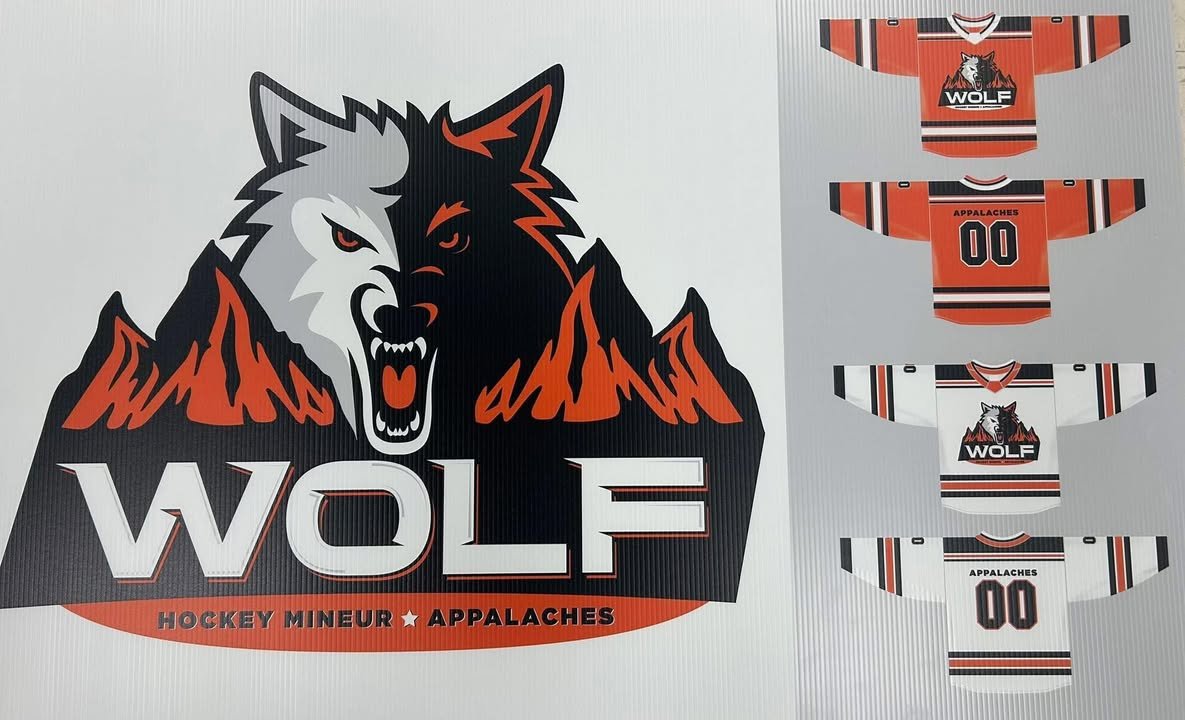 En tant qu'ambassadeur de Thetford, ma ville natale, je tiens à vous informer que je n'ai pas été consulté pour la désignation du nouveau nom des équipes de hockey mineur de Thetford et des environs...
Si seulement il y avait un mot français pour dire Wolf 🤔