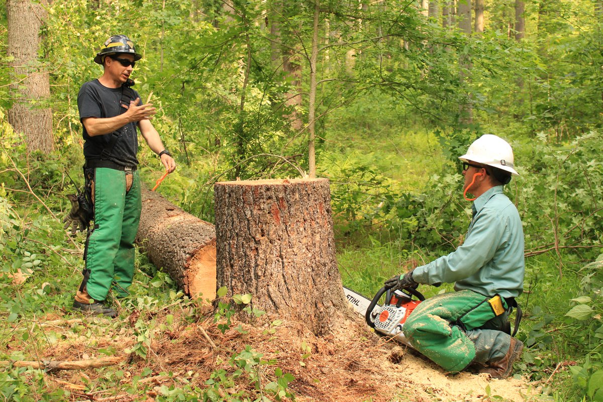 DelawareForests's tweet photo. A sawyer/faller is assigned to use a chainsaw to cut down trees and clear vegetation. Today, fire supervisor Sam provided saw training for the upcoming fire season. Training included a discussion of safety measures (using the IRPG for reference) and field training at Blackbird. https://t.co/mnYuUQijNG