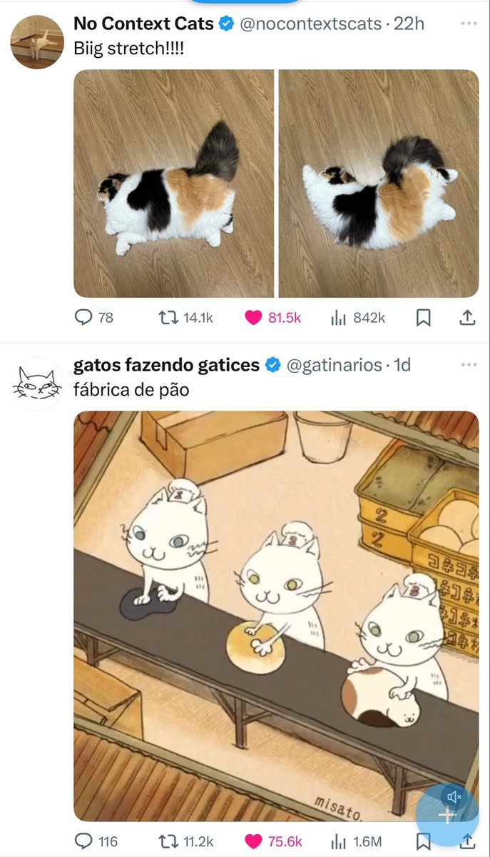 Amo estas coincidencias