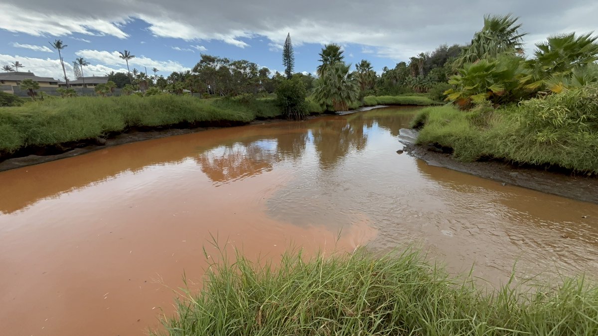 When heavy rains hit Maui, gulches around the island become channels for pollution to enter nearby ocean water. Testing areas where runoff meets the ocean helps identify parts of the island that need our help the most.