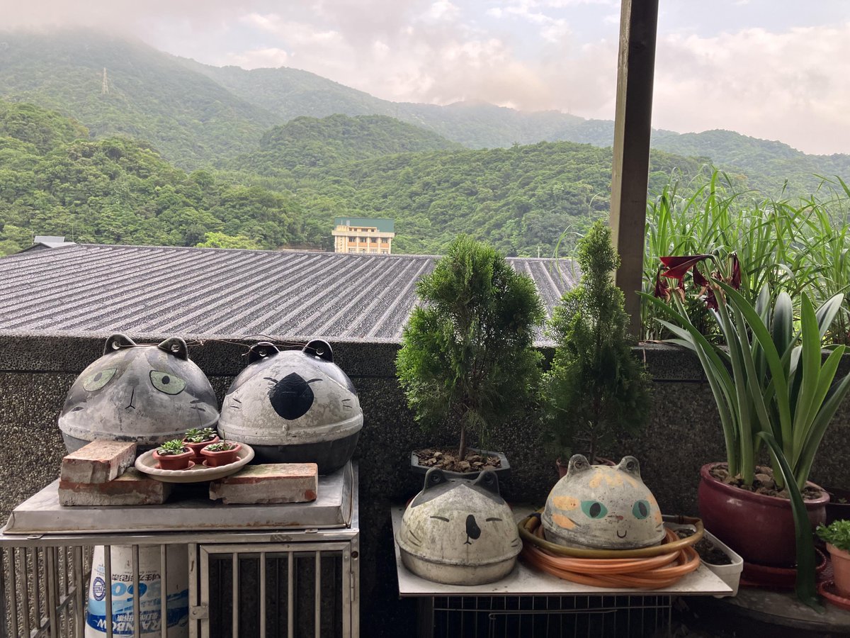 山は霧に包まれ、まるでおとぎ話に出てくる秘密基地のようです⛰️☁️
