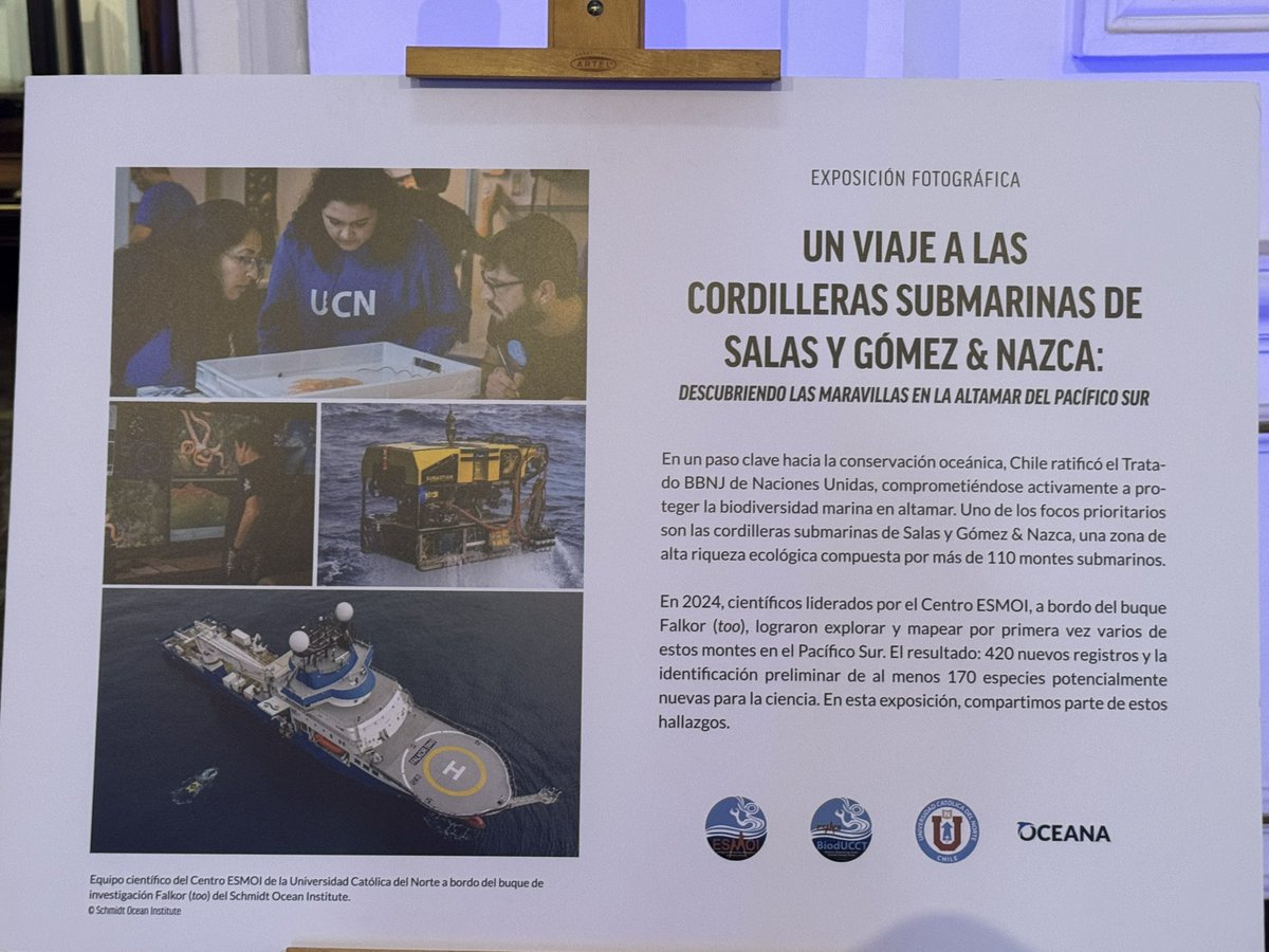 Renzo Vaccarezza (@renzovaccarezza) on Twitter photo Hoy en la sede del Museo Marítimo Nacional (MMN), la Universidad Católica del Norte, el Centro de Ecología y Manejo Sustentable de Islas Oceánicas (ESMOI), la Universidad de Concepción, el Instituto Milenio de Oceanografía (IMO) y Oceana en Chile, presentaron, “Maravillas Hoy en la sede del Museo Marítimo Nacional (MMN), la Universidad Católica del Norte, el Centro de Ecología y Manejo Sustentable de Islas Oceánicas (ESMOI), la Universidad de Concepción, el Instituto Milenio de Oceanografía (IMO) y Oceana en Chile, presentaron, “Maravillas