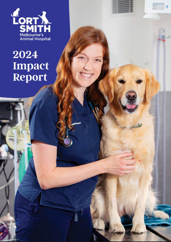 Almost 15,000 animals received compassionate veterinary care, 690 pets found a forever home, 851 found respite in loving homes with our foster carers, 127 pet therapy teams brightened up the lives of those who needed it the most and just as importantly our supporters once again