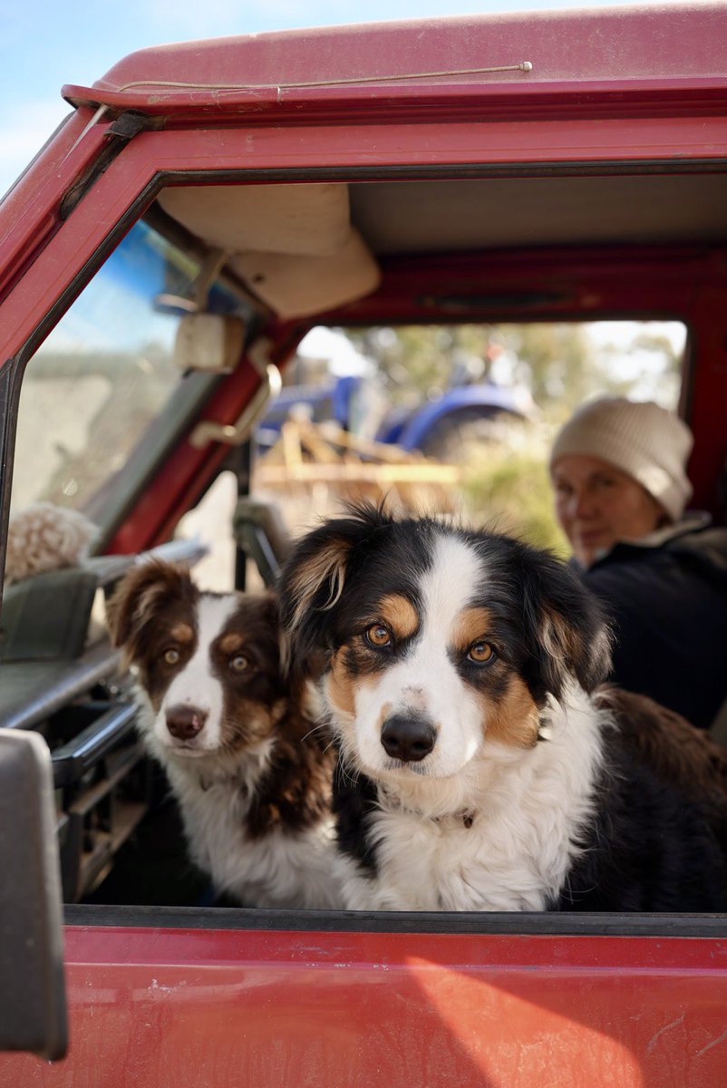 Brad McCarthy tweet media