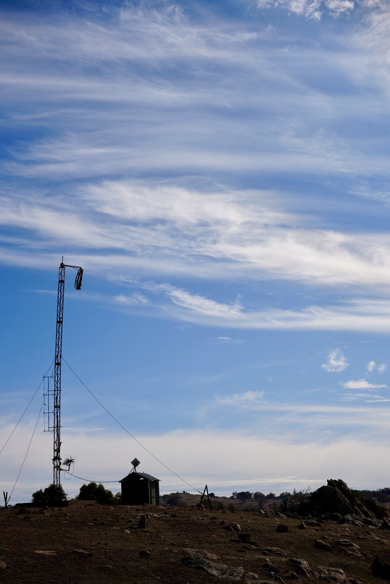 Brad McCarthy tweet media