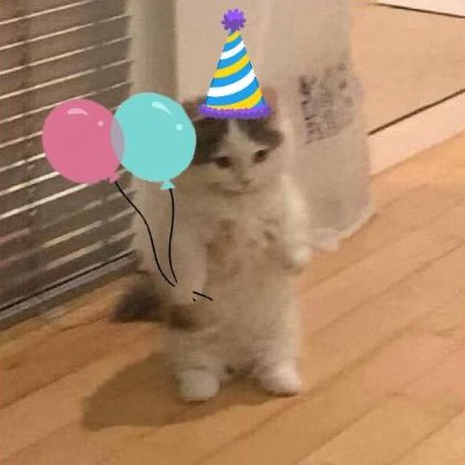 24 🎂