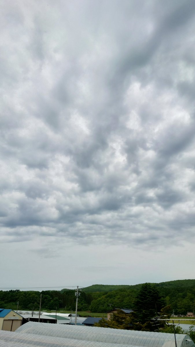 おはようございます。北空今空です。今朝は9度まで下がり寒かったです。