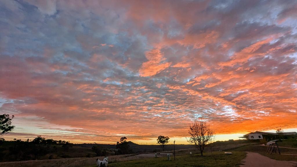 Sunrise this morning on the day that our youngest graduates high school, my mother-in-law turns 81, &amp; we prepare to farewell 2 beloved community members. 

I'm reminded of this line from the Ramayana: We look at life &amp; cannot untangle this song: rings &amp; knots of joy &amp; grief, all