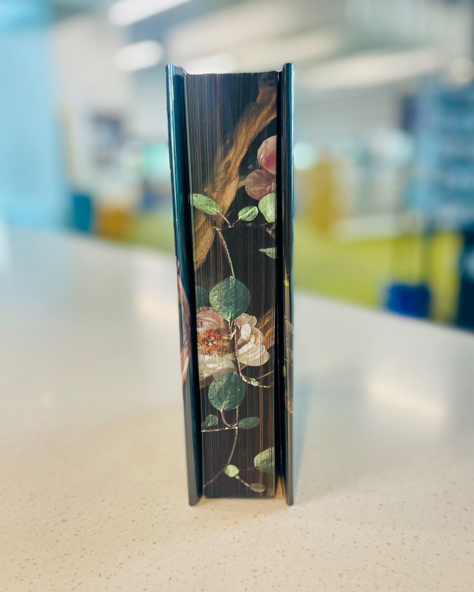 SomersetCounty1's tweet image. Hello, gorgeous!😍 Check out “Shield of Sparrows” by Devney Perry at the Princess Anne branch📖🖤 #bookish #sprayededge #shieldofsparrows #librarylove