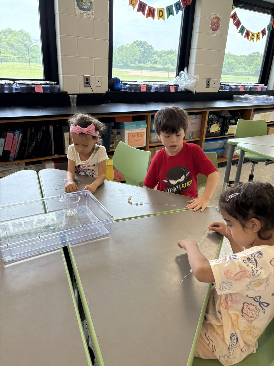 Nancy Schmidt tweet media