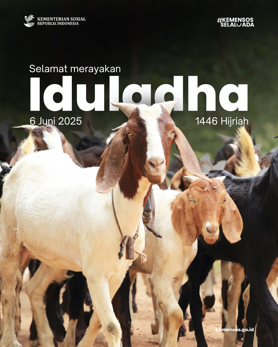 Iduladha bukan sekadar hari raya, tapi wujud ketaatan, keikhlasan, dan kepedulian. Ia mengajarkan kita arti berkorban demi yang lebih besar: untuk sesama, dan untuk cinta pada Yang Maha Esa.

Selamat Hari Raya Iduladha 1446 H 🙏