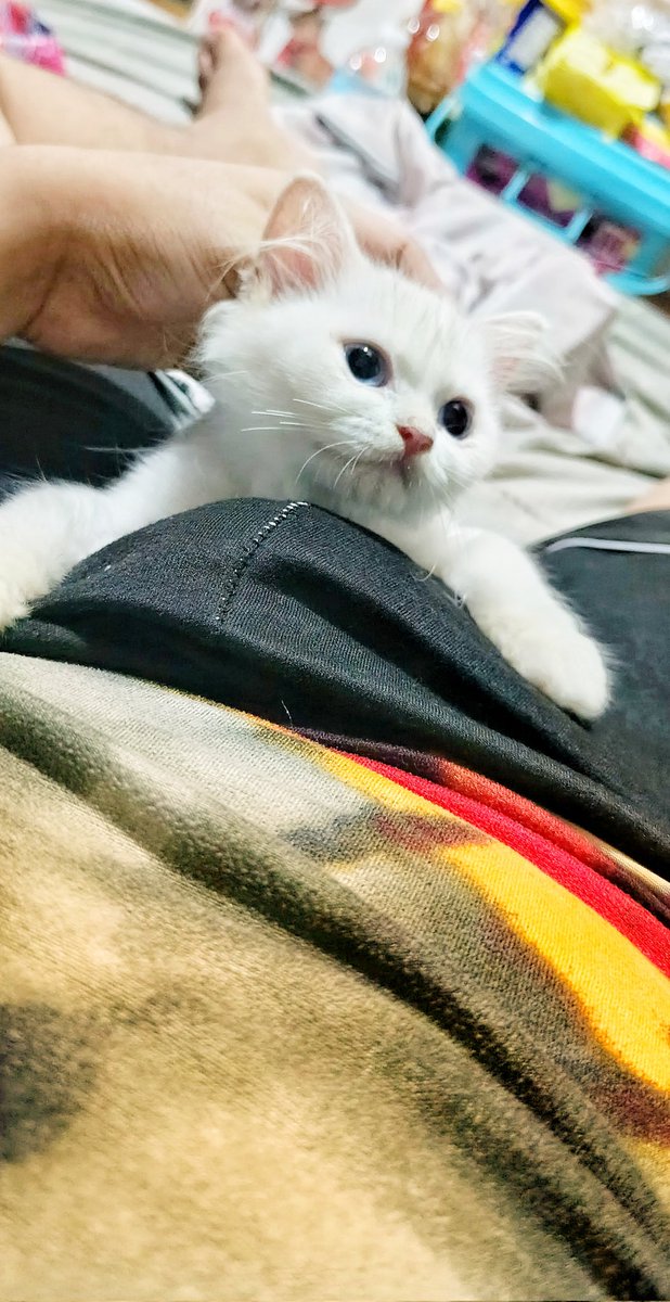 menmen00_1's tweet photo. Zarahtot😍 https://t.co/wbAZEH4nmO