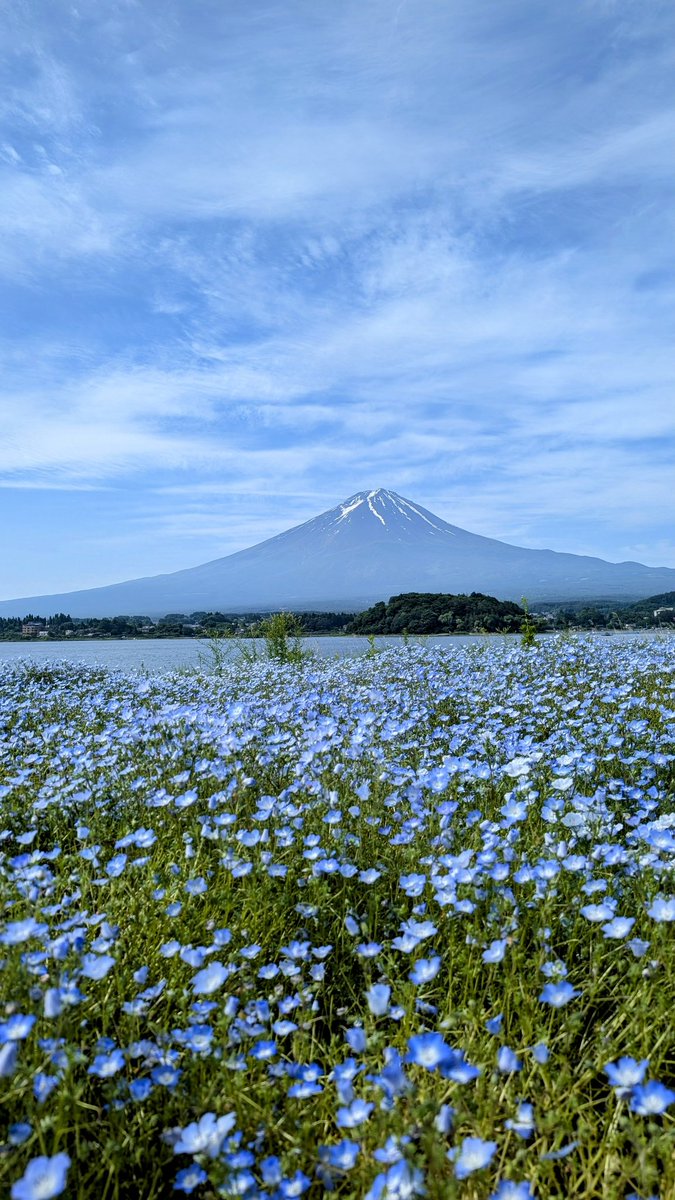 おはようございます

あれ〜??
誰もいない?
みんなどこにいるのかな?