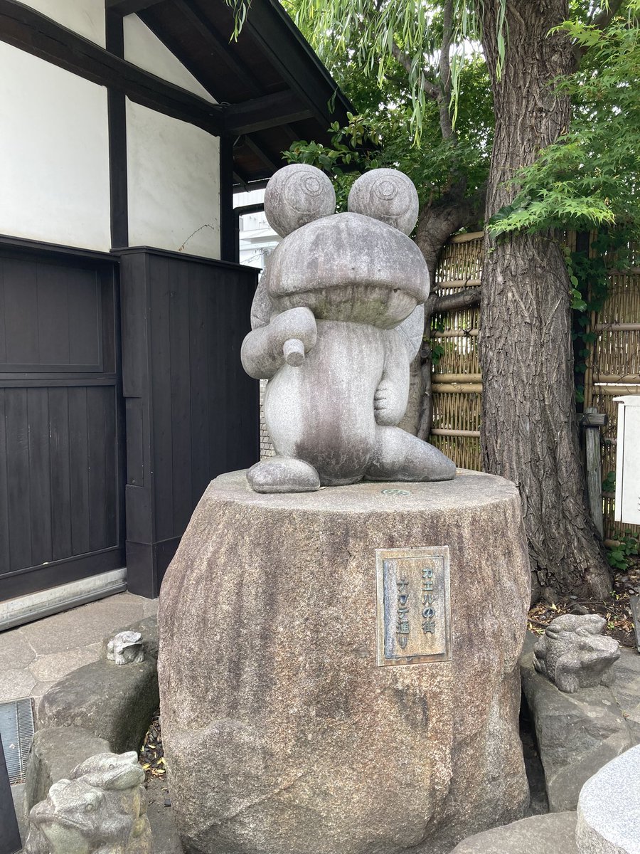6月6日は　#カエルの日
#かえるの日

6月8日（日）は松本市縄手通りで第22回
#松本かえるまつり 開催です！！
ガマ侍に会いに来てね！！