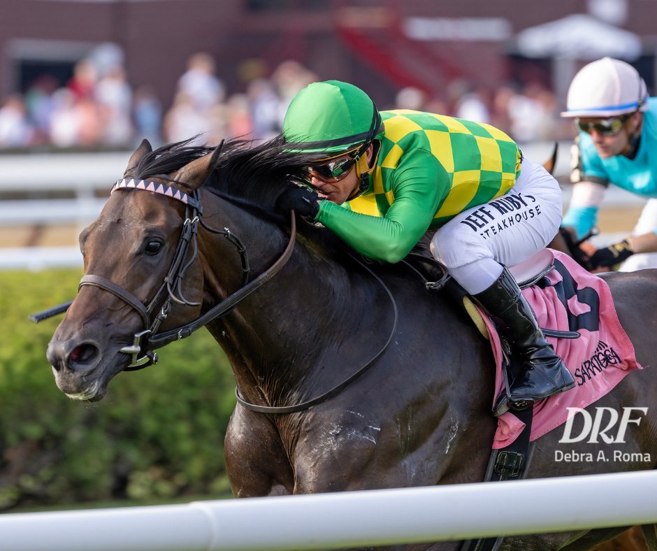 Daily Racing Form tweet media