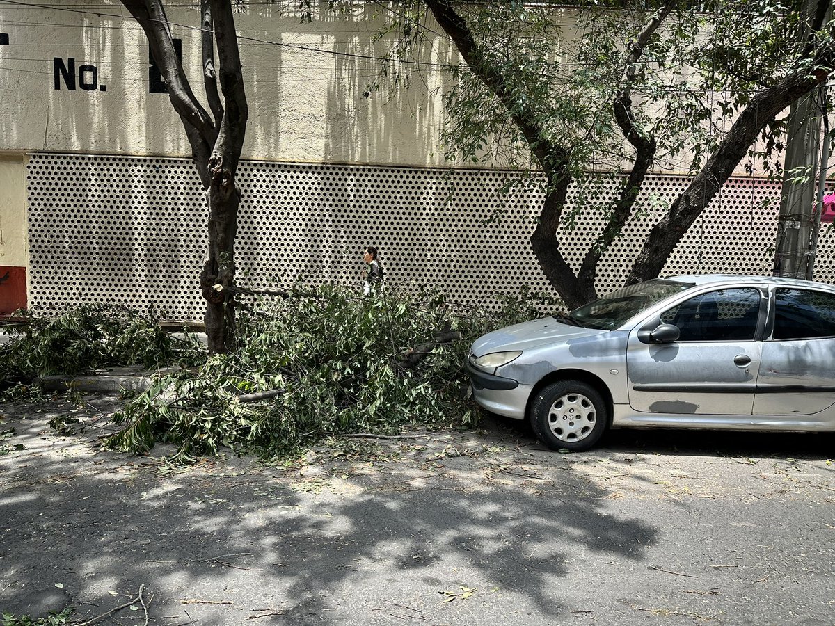 👉 “Hola <a href="/AlcCuauhtemocMx/">Alcaldía Cuauhtémoc</a>, solicitamos apoyo para retirar ramas y despejar la banqueta frente a la Escuela Secundaria Técnica No. 8, en Carlos B. Zetina 32, Col. Exhipódromo Condesa, ya tenemos autorización para balizar como zona de ascenso escolar. Gracias por el apoyo!