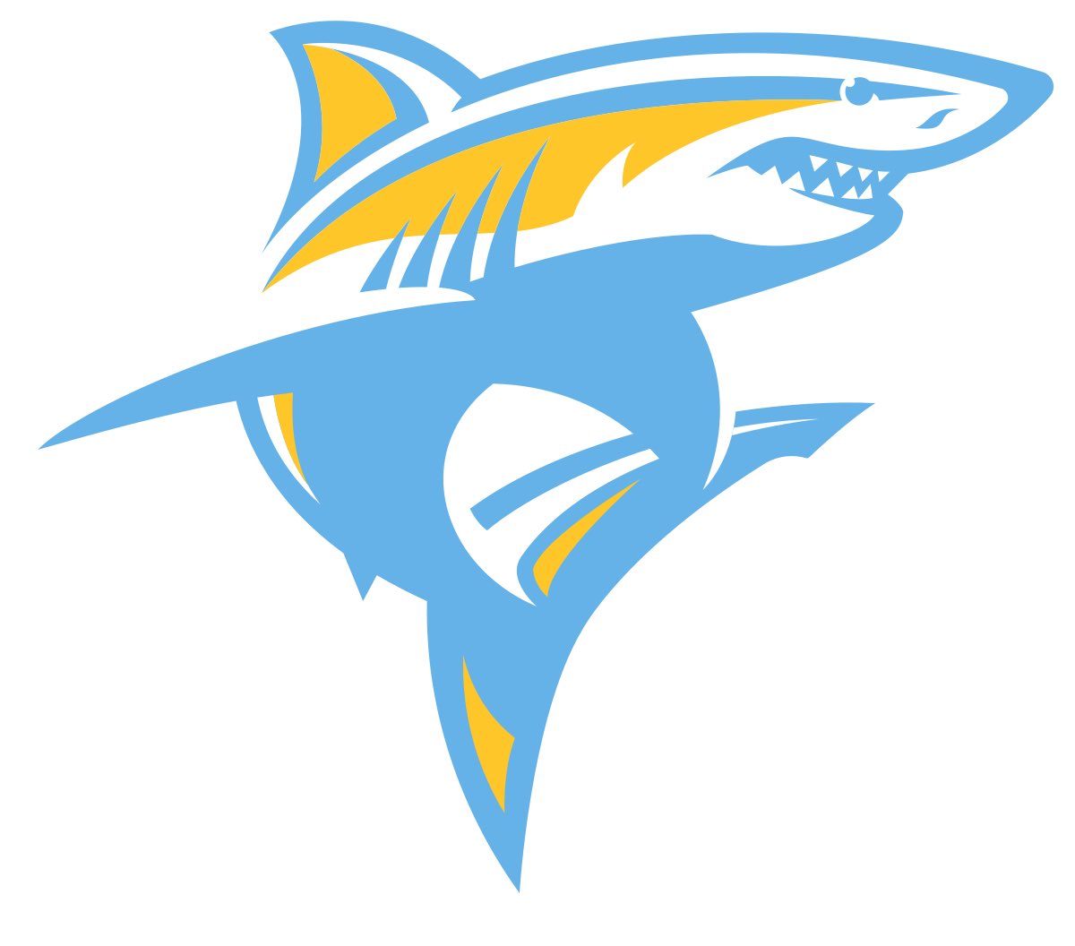 IsmailG2024's tweet image. Grateful to have received a D1 offer from Long Island University after talking to @CoachRCooper!
@ant_arguello @Coach_Hayashi