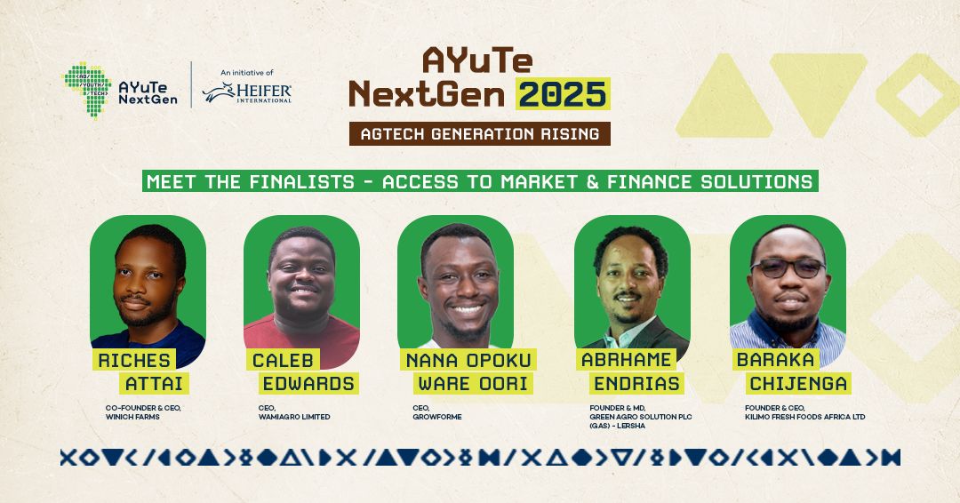 AyuteAfrica tweet media