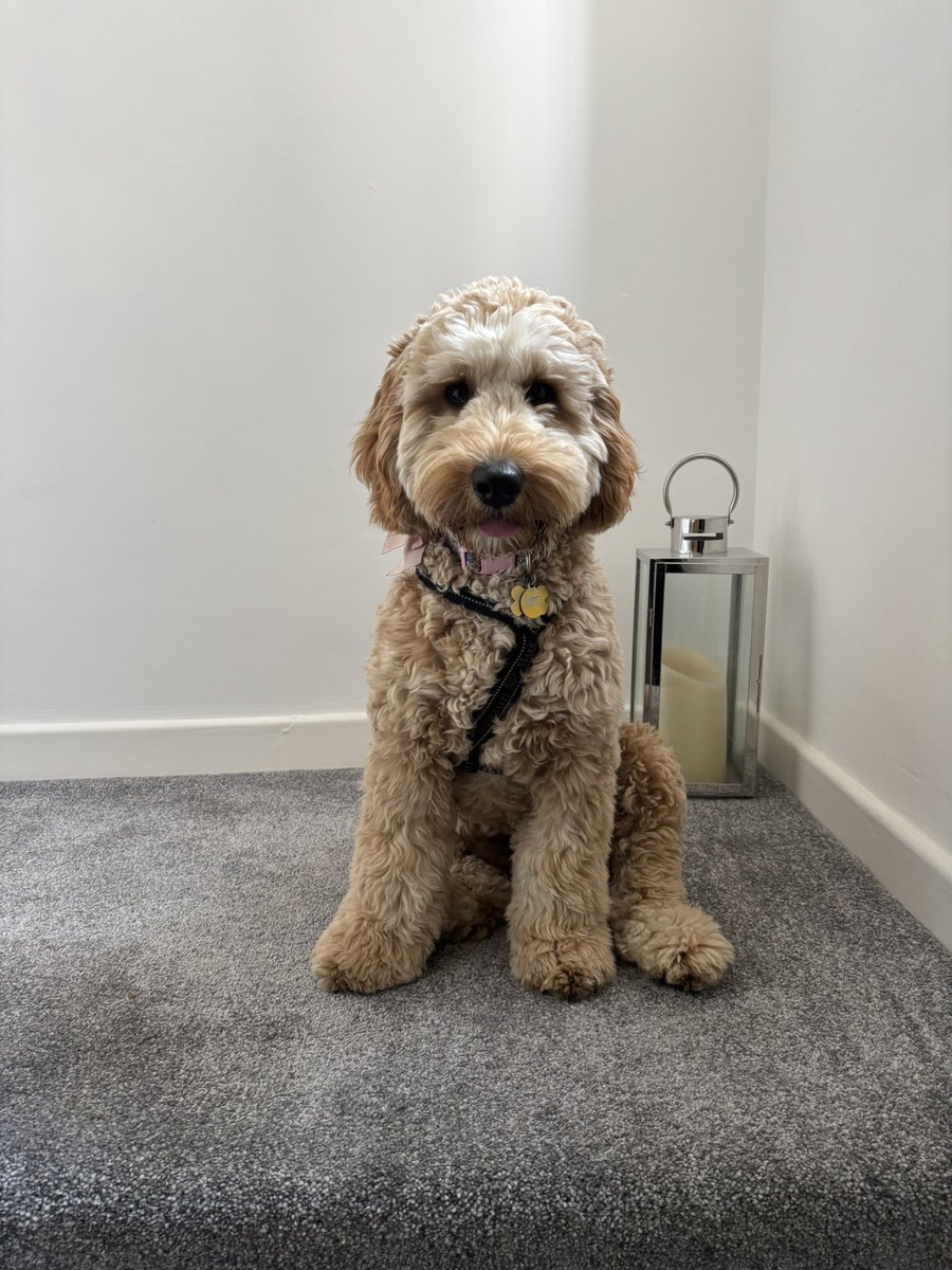 Matt Knight tweet media