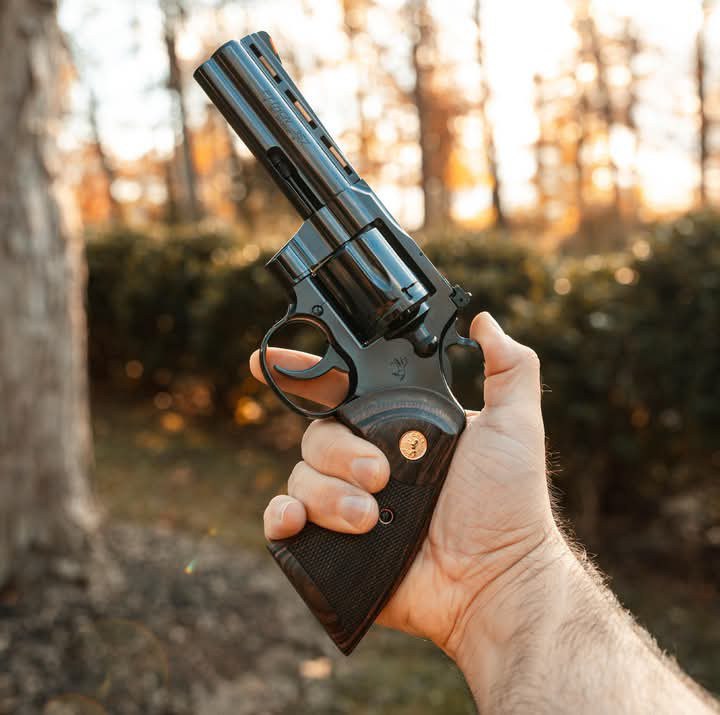 ColtDefense's tweet image. Legends aren’t made—they’re forged. Meet the Blued Python.
$600
📸 @ColtDefense
#BluedPython #ColtPython #GunCollectors #VintageFirearms #RoyalBlue #ColtRevolver #GunsDaily #WheelgunWednesday