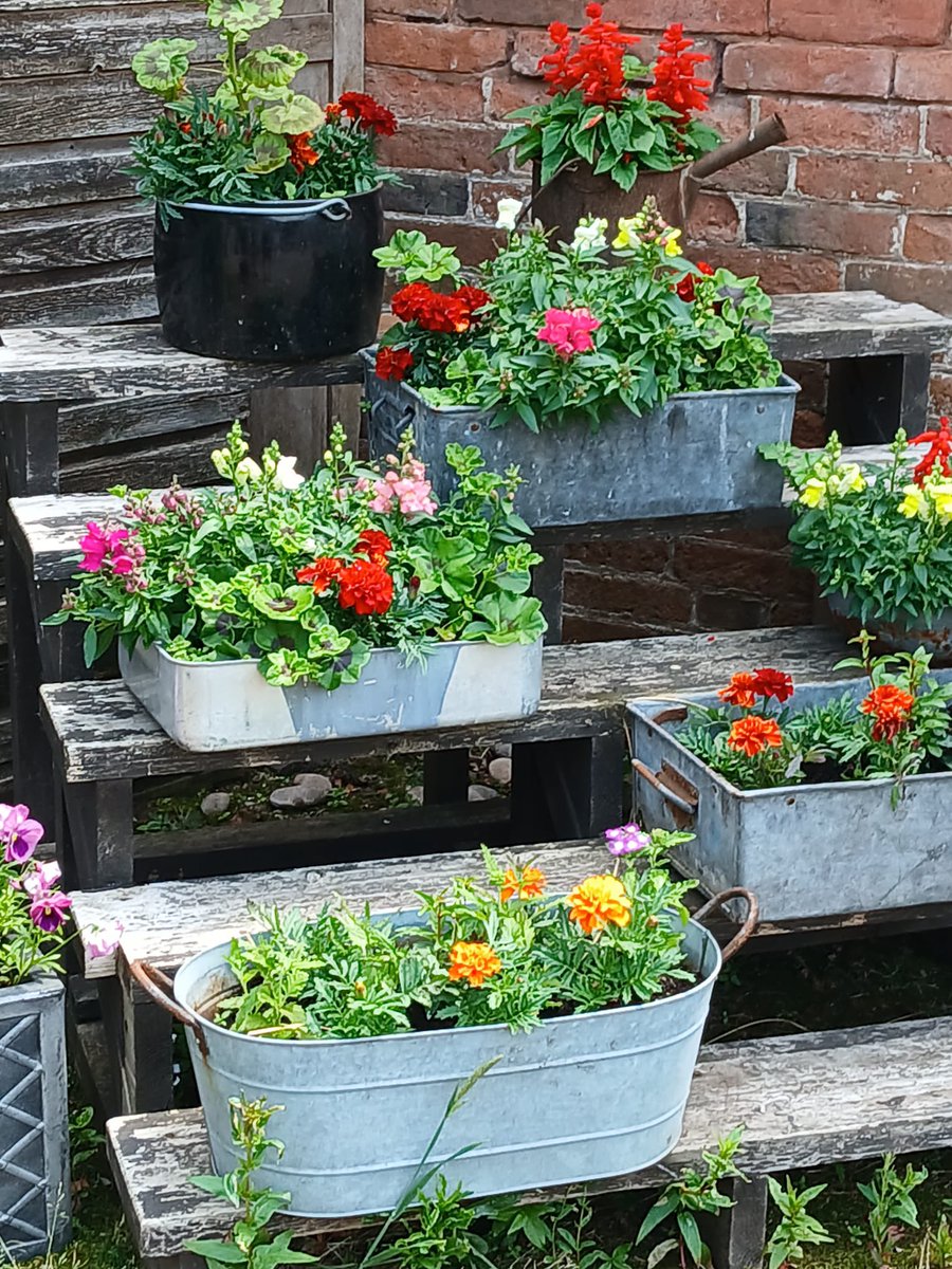 Bishton Hall tweet media