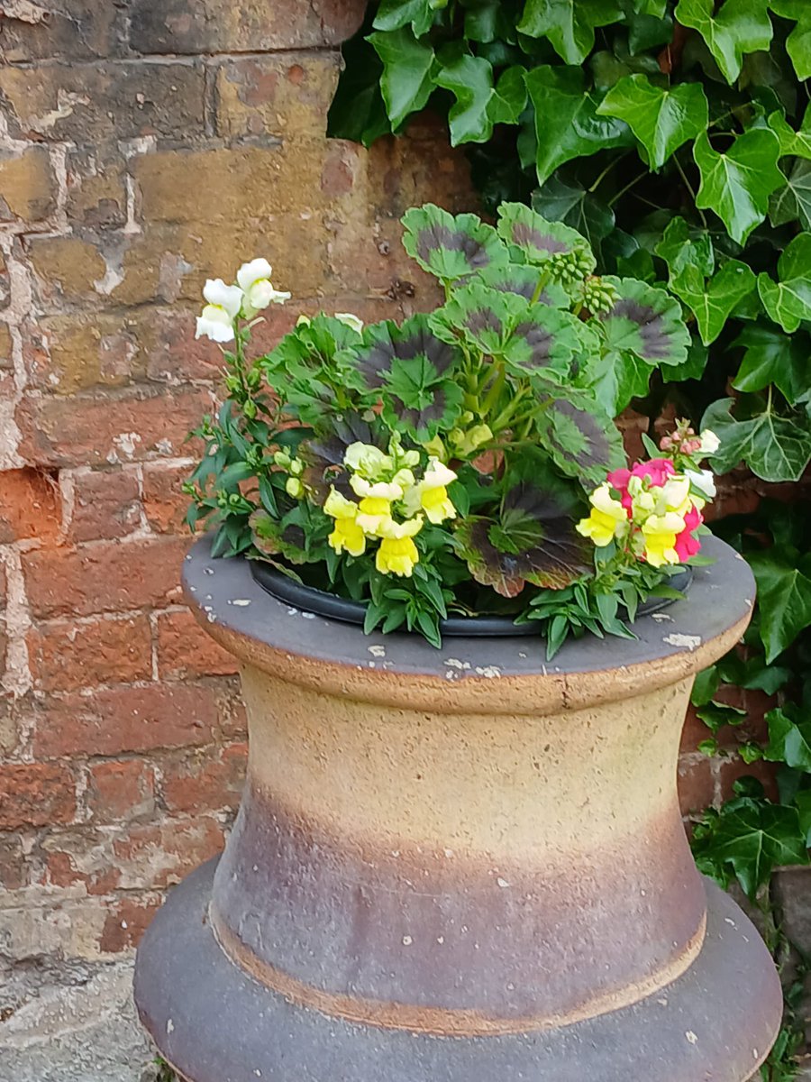 The Courtyard at Bishton Hall is in bloom. 

Our volunteers have been working their magic 🌸🌺💐🌼

#bishtonhall #inbloom #summerflowers🌸