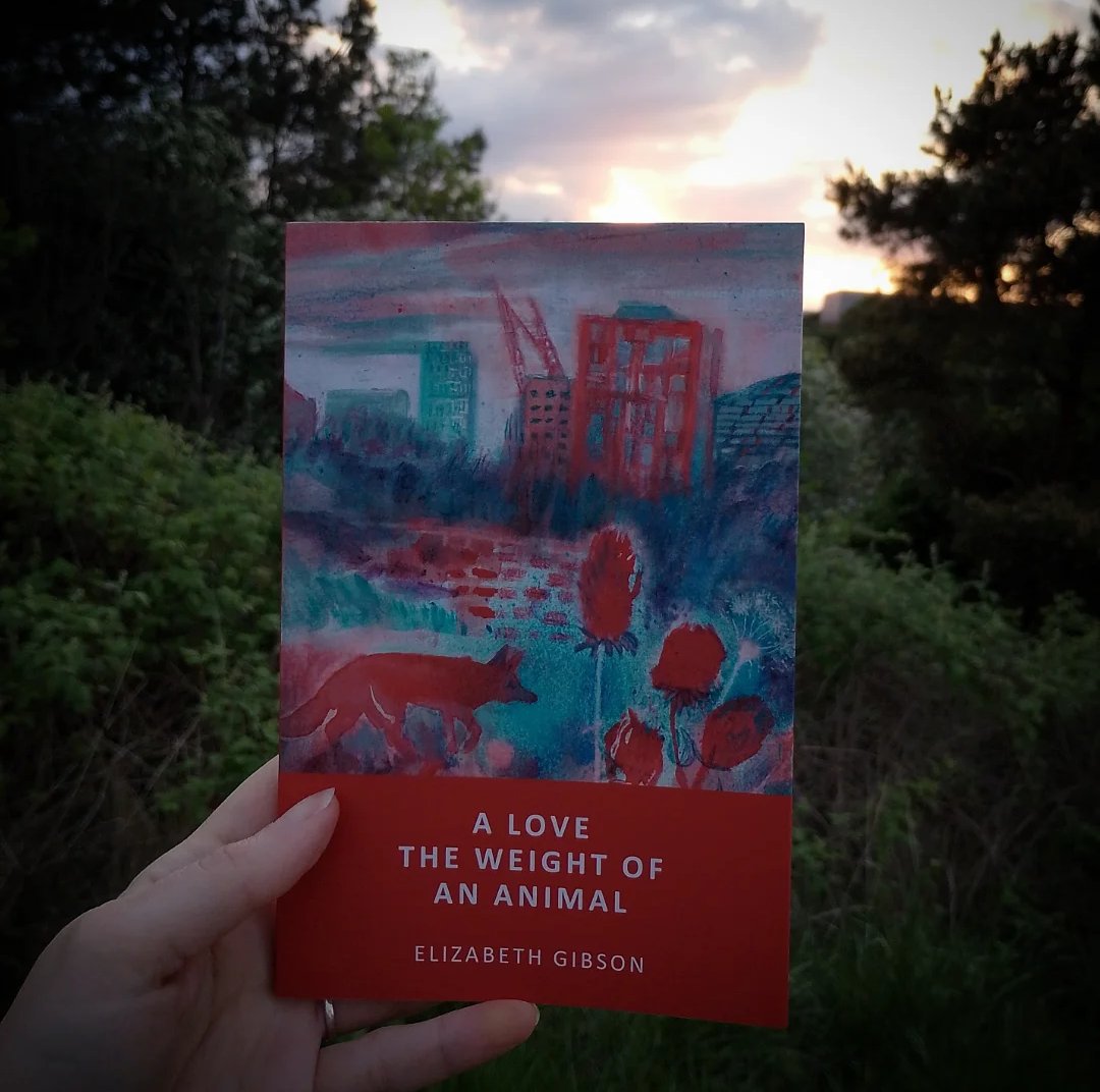 Elizabeth Gibson (they/them) ๐ (@grizonne) on Twitter photo It's June, and less than a month until my book comes out! ๐ฆ You can pre-order it at the link below for a special price โจ This poem, 'June is a mouth', was first published by lovely <a href="/sink_magazine/">SINK Magazine ๐บ๐ฆ ๐ต๐ธ</a>, and I'm really happy to have it in the collection โบ๏ธ confingopublishing.uk/product-page/aโฆ It's June, and less than a month until my book comes out! ๐ฆ You can pre-order it at the link below for a special price โจ This poem, 'June is a mouth', was first published by lovely <a href="/sink_magazine/">SINK Magazine ๐บ๐ฆ ๐ต๐ธ</a>, and I'm really happy to have it in the collection โบ๏ธ confingopublishing.uk/product-page/aโฆ