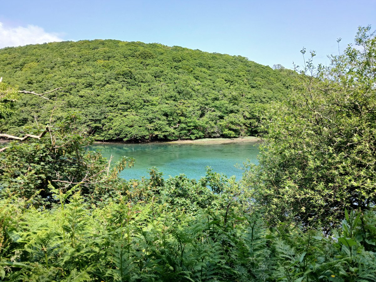 FlissZak (is editing with a vengeance) (@flisszak) on Twitter photo #Cornwall, my Cornwall (UK). A beautiful stretch of the #river #Looe. The water looks green, not blue, with all the greenery around it.
#WritingCommunity #poetrycommunity #readingcommnunity #bookworms #seaside #rivers #Countryside #nature #walking #Cornwall, my Cornwall (UK). A beautiful stretch of the #river #Looe. The water looks green, not blue, with all the greenery around it.
#WritingCommunity #poetrycommunity #readingcommnunity #bookworms #seaside #rivers #Countryside #nature #walking