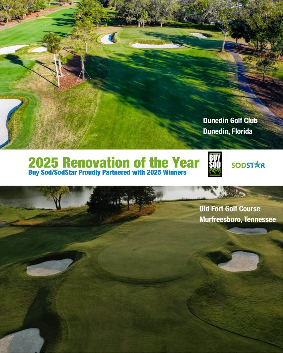 BuySodTurf's tweet photo. Buy Sod/SodStar played a pivotal role in two standout golf course renovations recognized in @GolfInc's 2025 Renovation of the Year awards. Both projects featured blue-tag certified sod—TifTuf Bermudagrass and Prizm Zoysia—underscoring Buy Sod/SodStar's growing reputation as the preferred natural turfgrass/ blue-tag certified sod provider for top-tier golf courses in the Southeastern U.S.

Congratulations to our partners for being recognized in the top 3 public course renovations by @GolfInc. 

Learn more about the exciting news, here: https://t.co/cZo7vQHFlD

#buysod #sodstar #golf #golfnews #golfmagazine #golfcourse