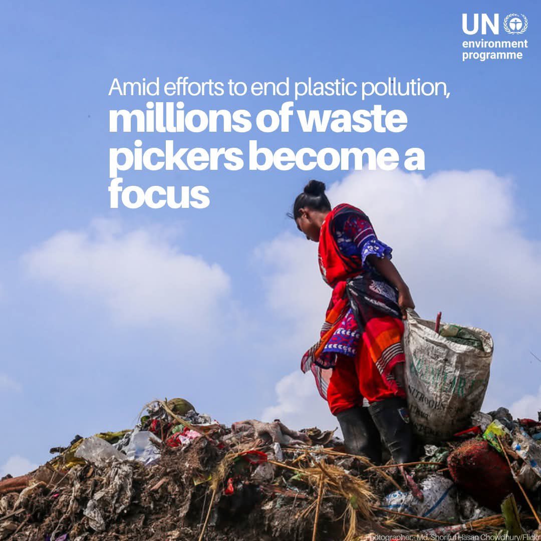 recyclink_'s tweet photo. World Environmental Day!!
According to @UNEP , only 60% of plastic waste is collected. Yet pickers don't have rights. https://t.co/K35UYMq7dk