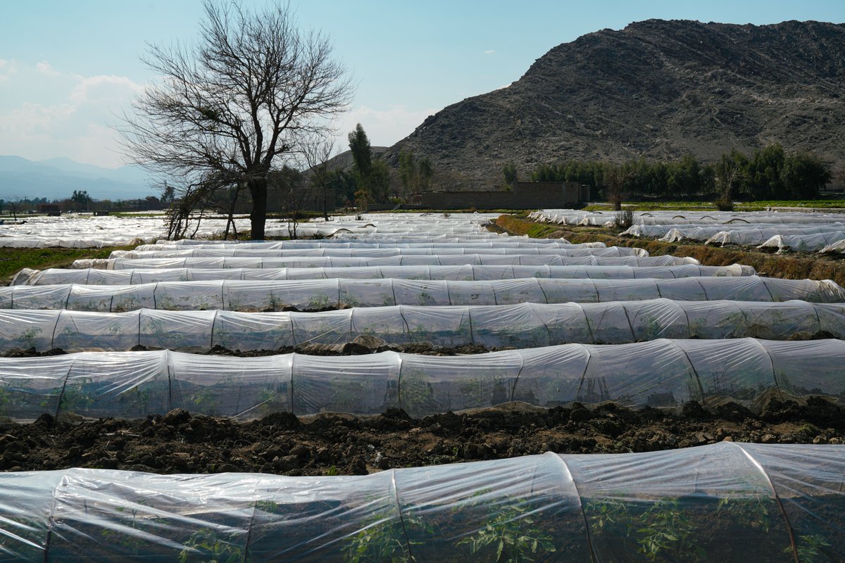 "<a href="/FAO/">Food and Agriculture Organization</a> reaffirms its commitment to supporting Members with evidence, policy tools &amp; innovation to improve #FoodSecurity &amp; nutrition while protecting ecosystems &amp; preventing plastic pollution." 

- A. Jacome at <a href="/UNEP_NYO/">UN Environment Programme New York</a> #WorldEnvironmentDay NY event.  

➡ bit.ly/3SCKbA4
