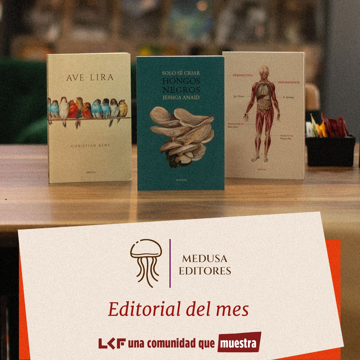 Este mes celebramos el trabajo de Medusa Editores, una apuesta por voces que habitan lo poético desde la intimidad y la búsqueda.

Conoce su catálogo en tu Librería Carlos Fuentes.

📍 Periférico Norte 1695, Zapopan 
📱libreriacarlosfuentes.mx 

#LCF #SigamosLeyendo