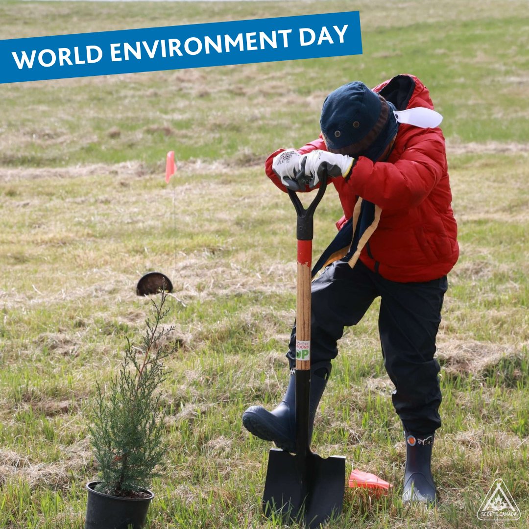Scouts in action this #WorldEnvironmentDay 🌱♻️

From ditching single-use plastics to leading cleanups—every Scout makes a difference.

Let’s #BeatPlasticPollution and protect the planet, one good turn at a time. 🌍

#ScoutsCanada #SustainableScouting #EcoYouth #PlasticFreeFuture