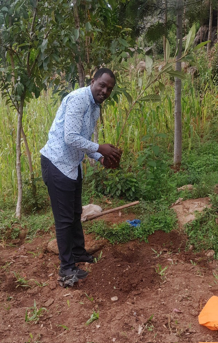 OngidiHempstone's tweet photo. #WorldEnvironmentDay
I planted at tree. Vindizi,Vihiga county. 
Mt. Sinai Prayer mountain. https://t.co/2yQ3qiOIEH