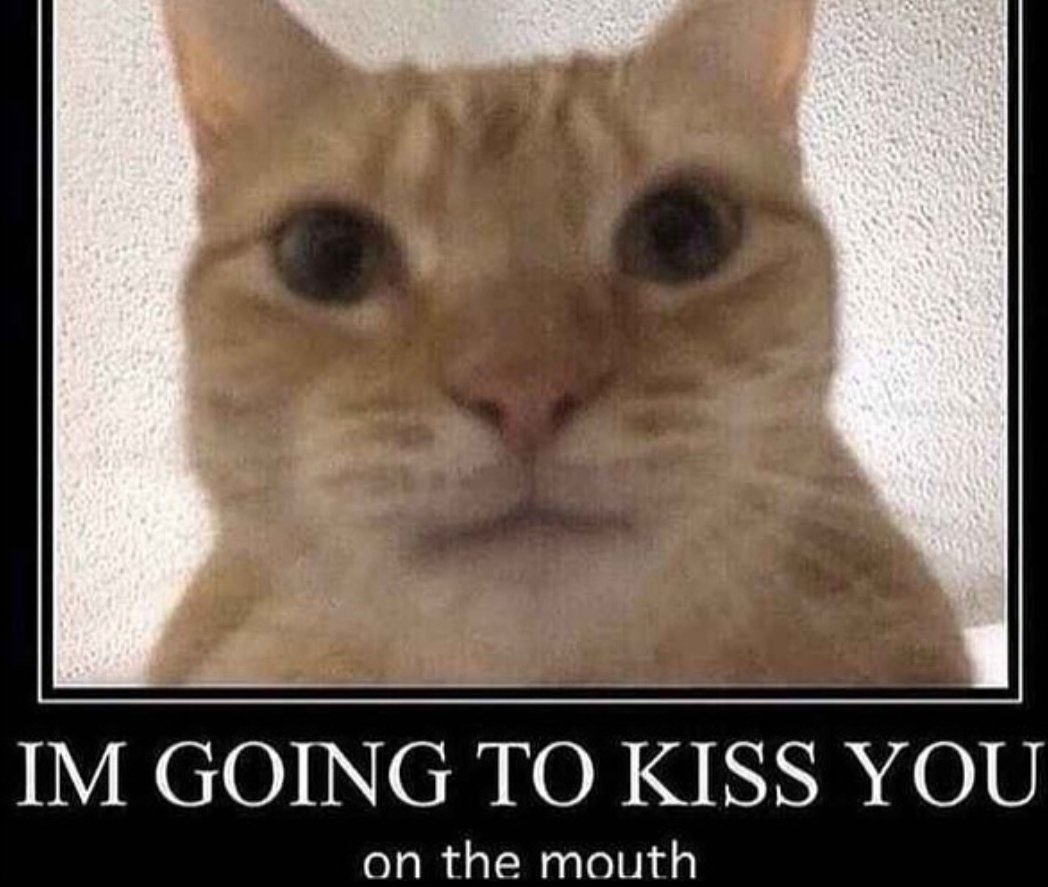 Weduh 🦋 tweet media