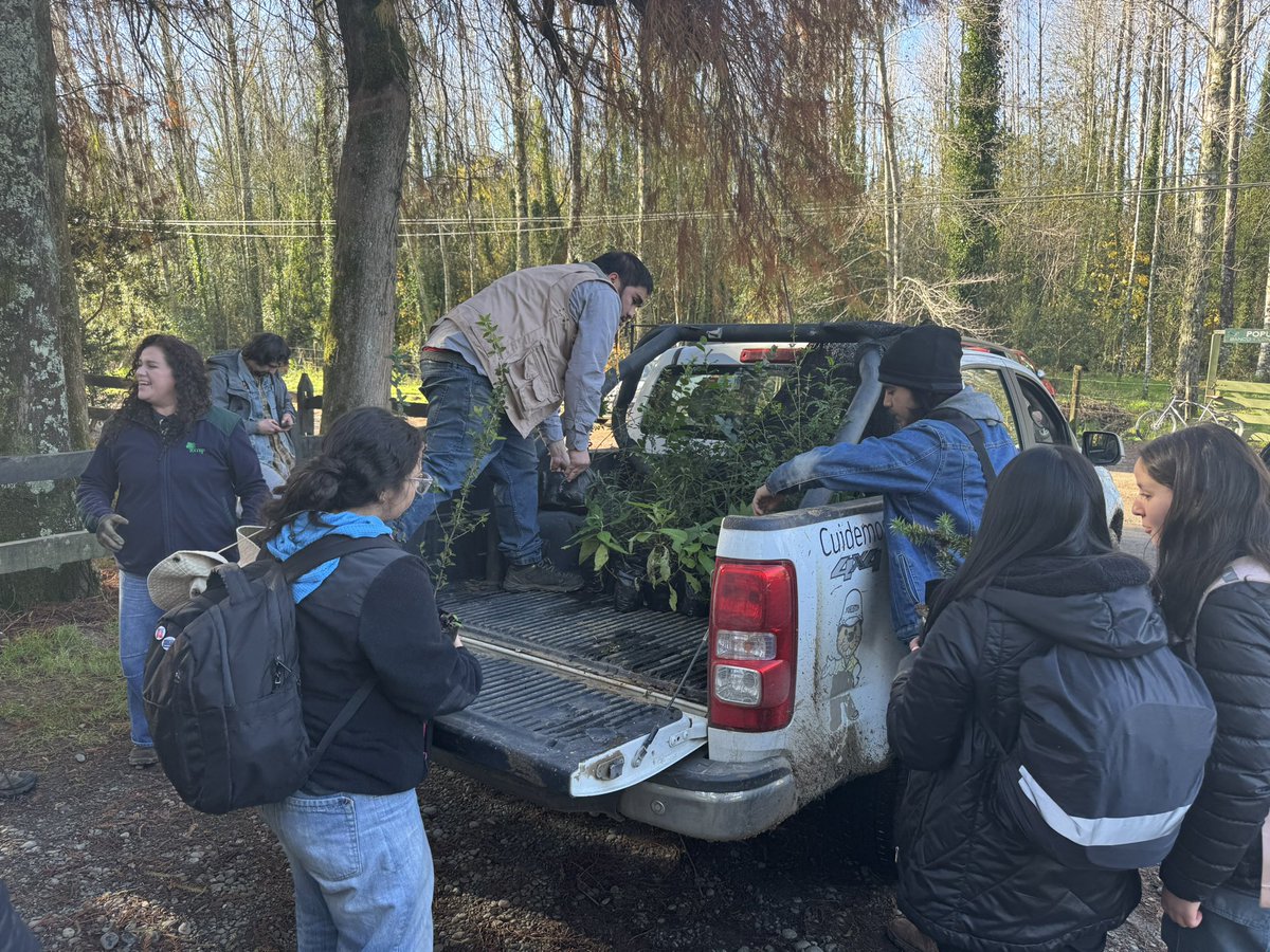 CONAF Los Ríos (@conaf_losrios) on Twitter photo 📍#VALDIVIA| En el marco del día del medio ambiente, junto a la carrera de Recursos Naturales y Forestales, participamos de jornada de forestación para la creación de un bosque comestible, donde la corporación entregó plantas nativas a las y los estudiantes de <a href="/UAustraldeChile/">Universidad Austral de Chile</a> 🌳 📍#VALDIVIA| En el marco del día del medio ambiente, junto a la carrera de Recursos Naturales y Forestales, participamos de jornada de forestación para la creación de un bosque comestible, donde la corporación entregó plantas nativas a las y los estudiantes de <a href="/UAustraldeChile/">Universidad Austral de Chile</a> 🌳