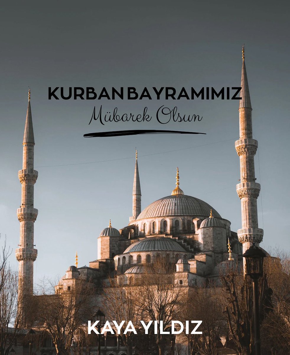 Kaya YILDIZ (@kayayildiz28) on Twitter photo 